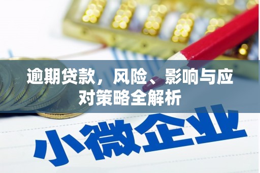 南朗逾期贷款，风险、影响与应对策略全解析