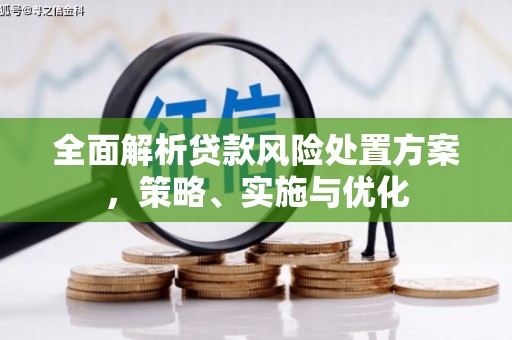 南朗全面解析贷款风险处置方案，策略、实施与优化