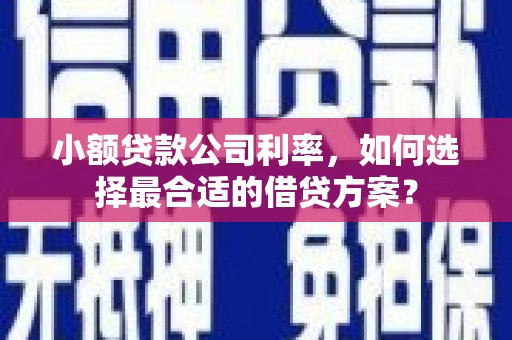 南朗小额贷款公司利率，如何选择最合适的借贷方案？