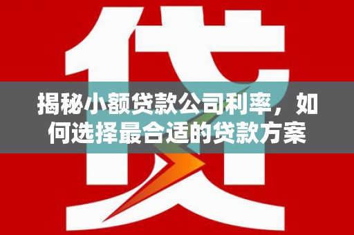 南朗揭秘小额贷款公司利率，如何选择最合适的贷款方案