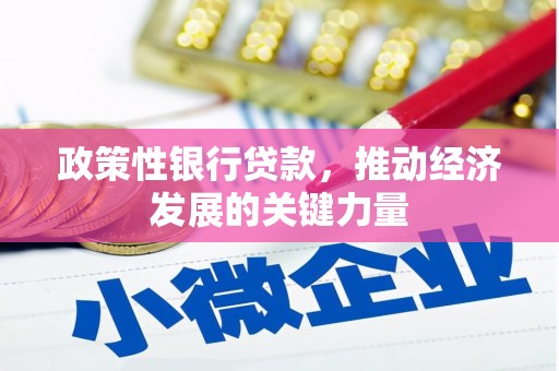 南朗政策性银行贷款，推动经济发展的关键力量