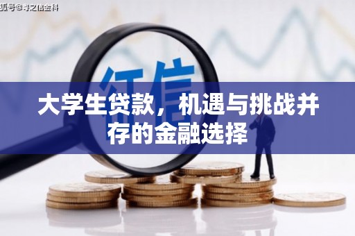 南朗大学生贷款，机遇与挑战并存的金融选择