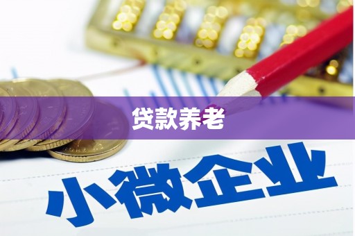 南朗贷款养老