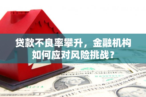 南朗贷款不良率攀升，金融机构如何应对风险挑战？