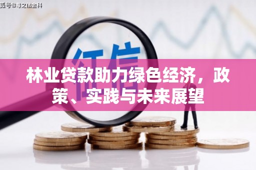 南朗林业贷款助力绿色经济，政策、实践与未来展望