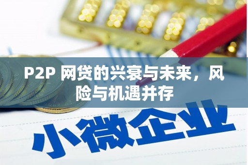 南朗P2P 网贷的兴衰与未来，风险与机遇并存
