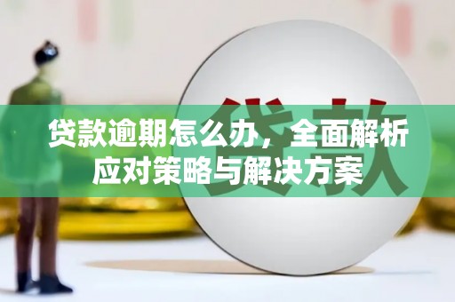 南朗贷款逾期怎么办，全面解析应对策略与解决方案